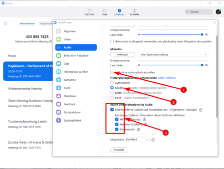 Zoom Audio-Einstellungen